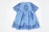 Blue Sienna Dress